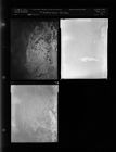 Miscellaneous unidentified Negatives (3 Negatives) undated, 1954 [Sleeve 76, Folder a, Box 6]